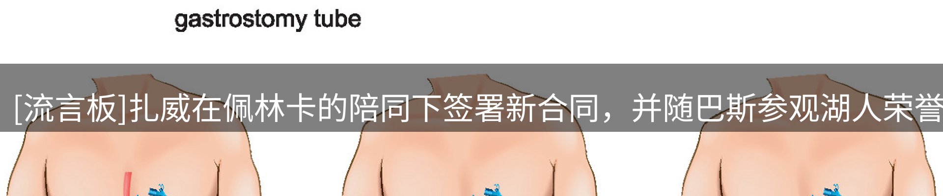新闻资讯